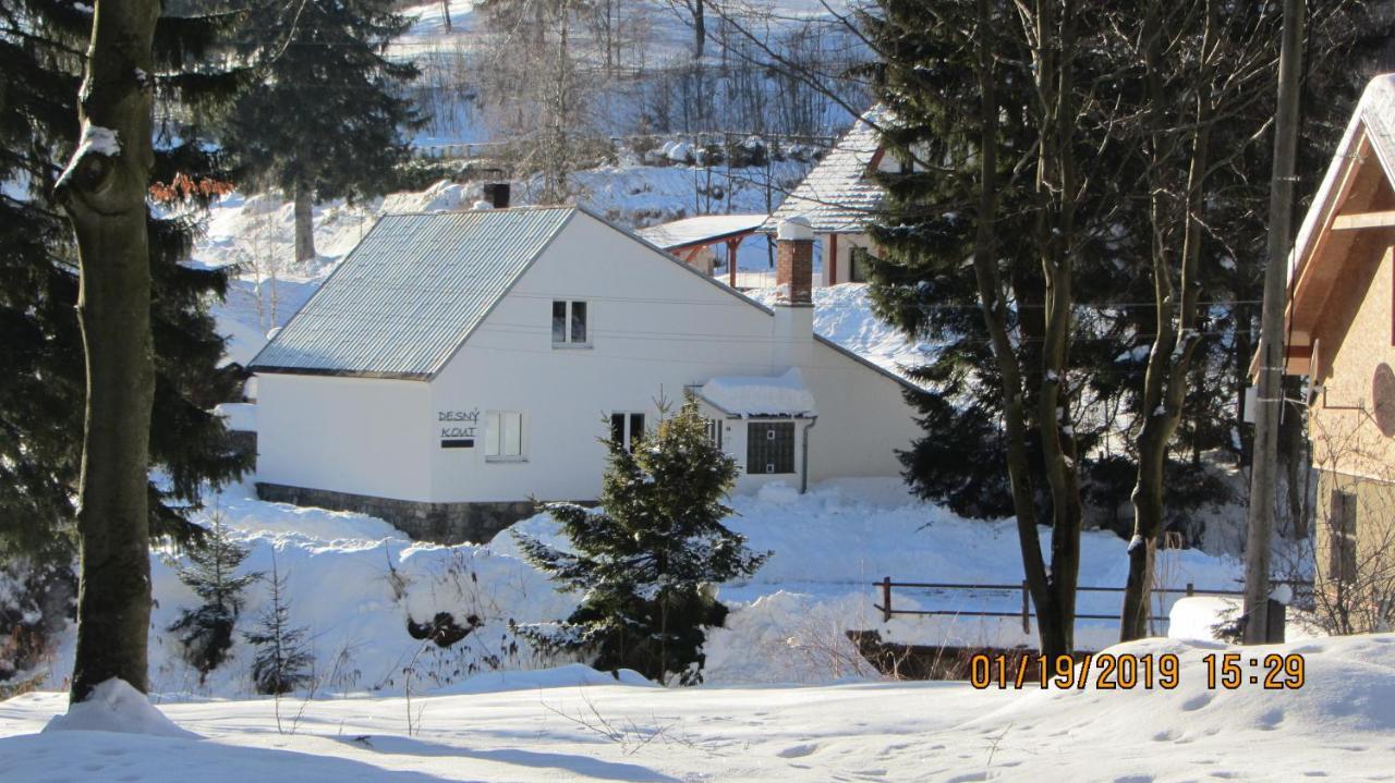 Desny Kout Chalet *