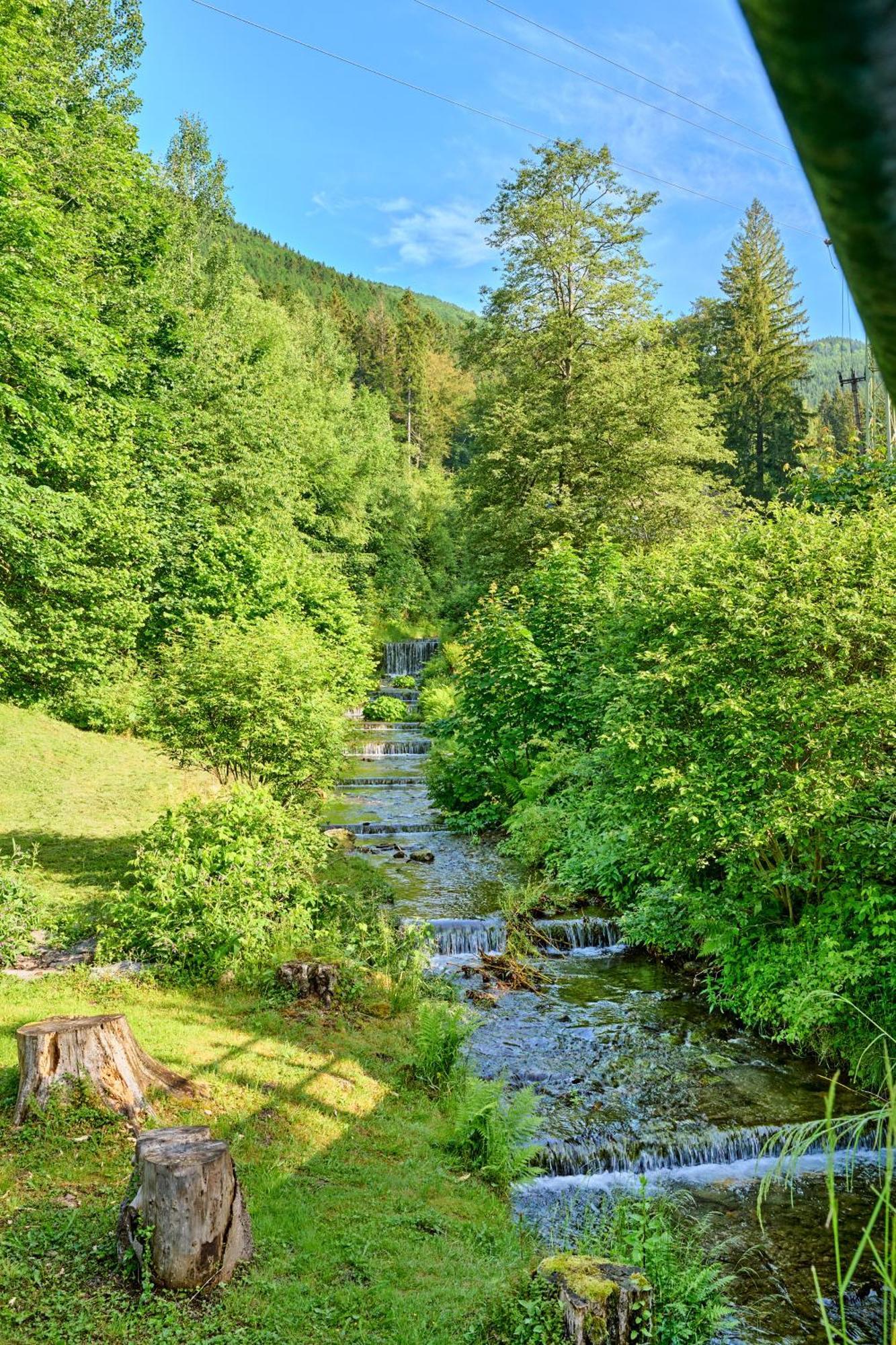 Chalet Desny Kout